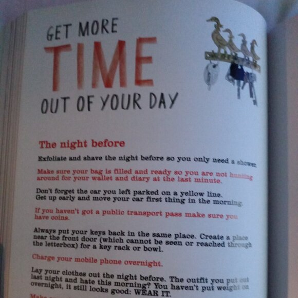 TRINNY & SUSANNAH - THE SURVIVAL GUIDE. A WOMAN'S SECRET WEAPON FOR GETTING .... - Picture 2 of 9